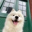 洛叶的Blog 头像